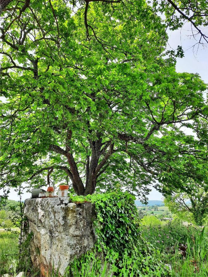 Le Marronnier Appartamento Niozelles Esterno foto