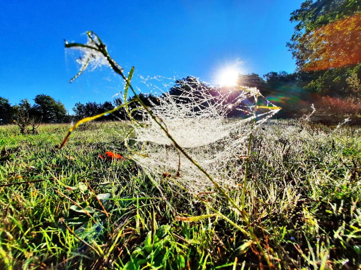 Le Marronnier Appartamento Niozelles Esterno foto