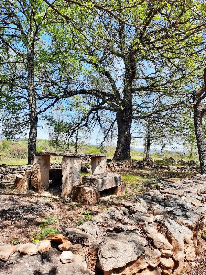 Le Marronnier Appartamento Niozelles Esterno foto