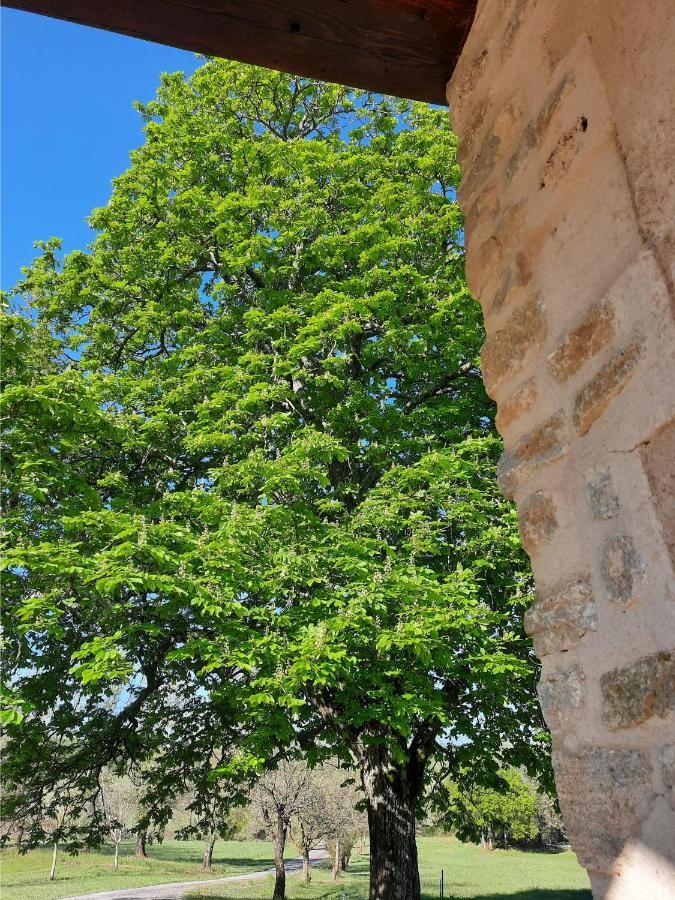 Le Marronnier Appartamento Niozelles Esterno foto
