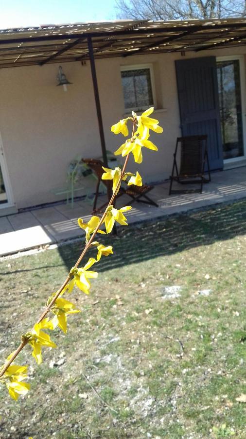 Le Marronnier Appartamento Niozelles Esterno foto