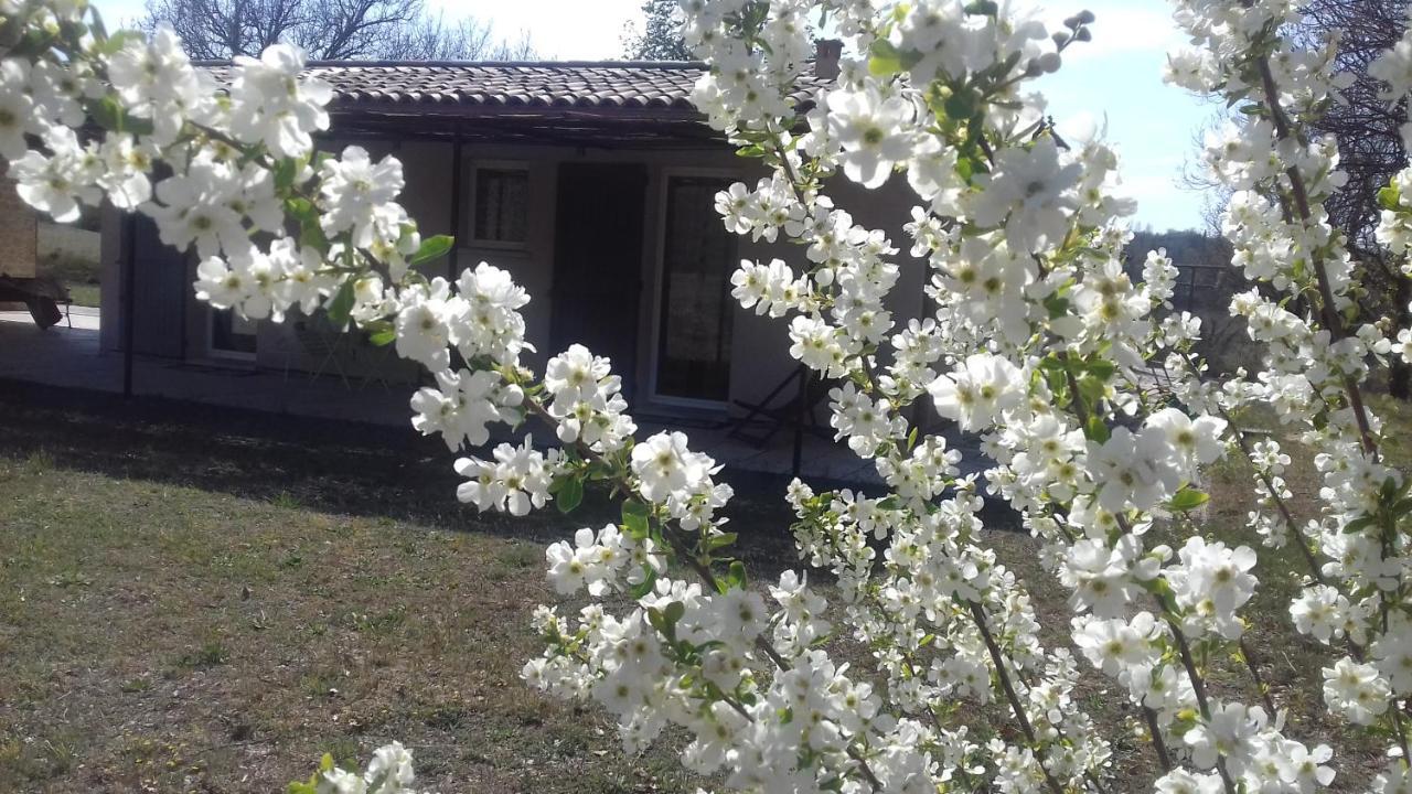 Le Marronnier Appartamento Niozelles Esterno foto